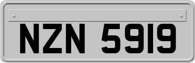 NZN5919