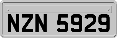 NZN5929