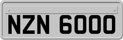 NZN6000
