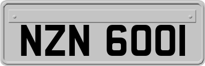 NZN6001