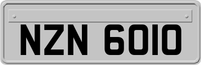 NZN6010