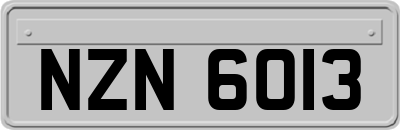 NZN6013