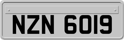 NZN6019