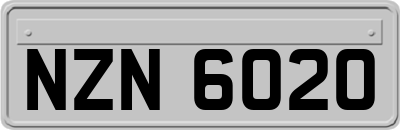 NZN6020
