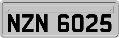 NZN6025