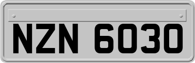 NZN6030