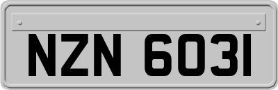 NZN6031