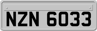 NZN6033