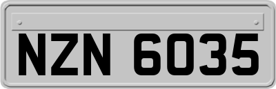 NZN6035
