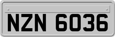 NZN6036