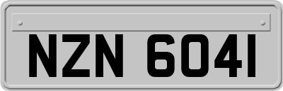 NZN6041
