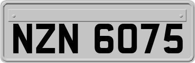 NZN6075