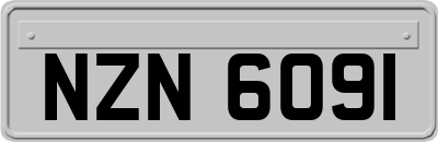 NZN6091