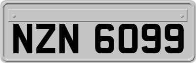 NZN6099