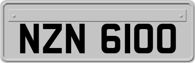 NZN6100