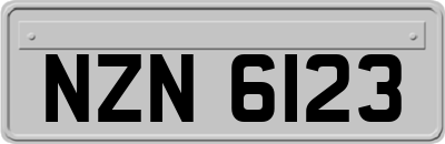 NZN6123