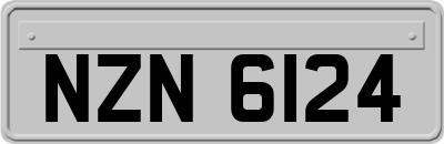 NZN6124