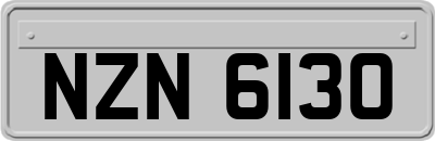 NZN6130
