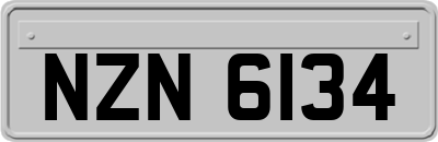 NZN6134