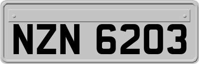 NZN6203