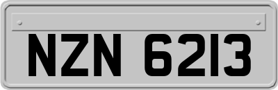 NZN6213