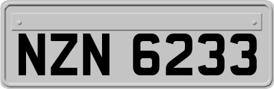 NZN6233