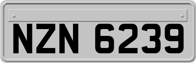 NZN6239