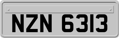 NZN6313