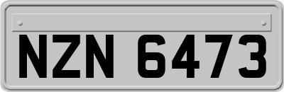 NZN6473