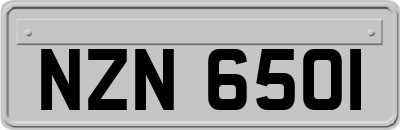 NZN6501