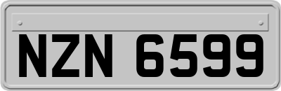 NZN6599