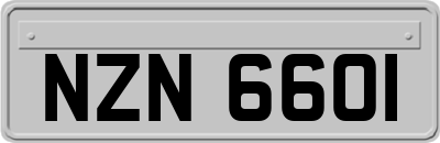 NZN6601