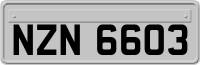 NZN6603