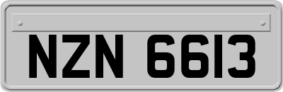 NZN6613