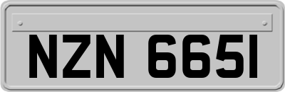 NZN6651