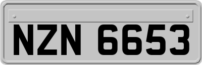 NZN6653