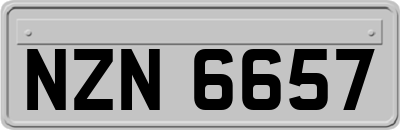 NZN6657