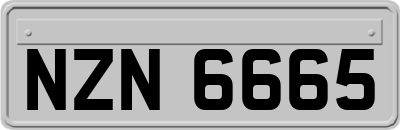 NZN6665