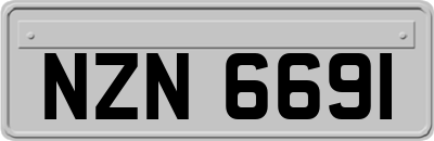 NZN6691