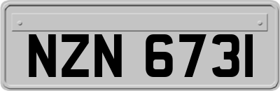 NZN6731