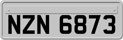 NZN6873