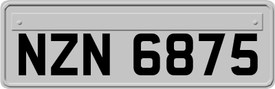 NZN6875