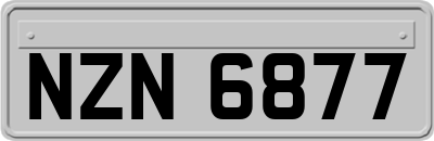 NZN6877
