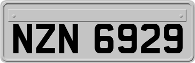 NZN6929