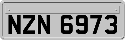 NZN6973