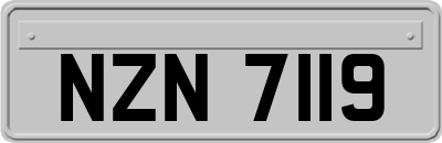 NZN7119