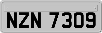NZN7309