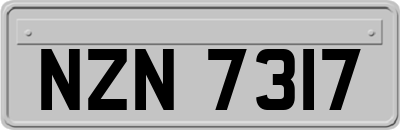 NZN7317