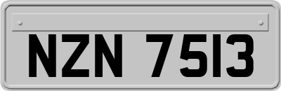 NZN7513
