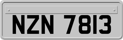 NZN7813